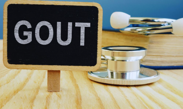 Gout and Autoimmune Disease Care: How Can Diet Help Manage Flare-Ups? 3 Screenshot 2025 07 28 210903 | Brickell Rheumatology Wellness Center